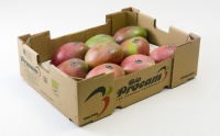 Product presentation of Mango number 25